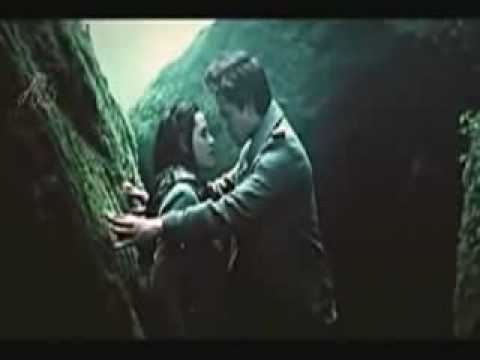 Vedi il video