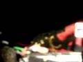 Karen O stresses out