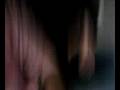 videos de lute and company