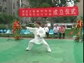 chen taijiquan laojia yilu