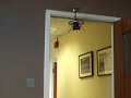 Remote Control Flying Mosquito @ Thumbs Up