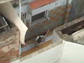 Salvem la Nun (Sabadell)