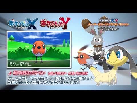 動画
