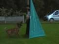videos de Nero Haus Mecki with Leandro - Protection