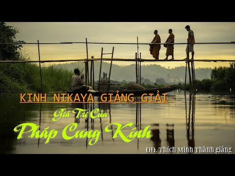 Kinh NIKAYA Giảng Giải – Giá Trị Của Pháp Cung Kính