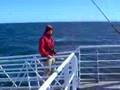 Whalewatching safari off Andenes