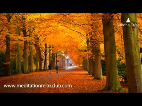 Thanksgiving - Thanksgiving Dinner Music, Thanksgiving Day Background Music