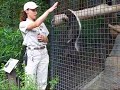 Ratel-2