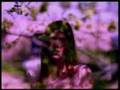 Secret-Garden