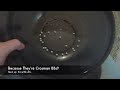 Crosman BB Test