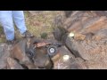 R/C Crawling,Carters Lake,
