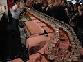 Demostración de efecto dominó con vasos de cerveza