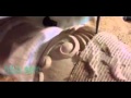 wood 3D engraving machine, 3D cnc Router