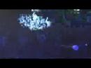 Kobojsarna - Live @ Bergen/Norway 2