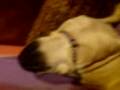videos de Mops Edek śpi // Pug Ed is sleeping - some kind of (: