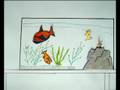 videos de Im Aquarium