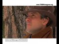 TV Spot: Terbo Ted for Congress TV Spot: Terbo Ted for Congress