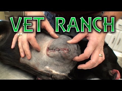 how to perform amputation