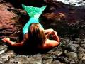 Maui Mermaids Mermaid Tail Sunbathing Mermaid ...