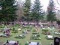 Friedhof - Vergänglichkeit im Herbst Spandau