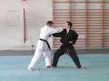 goshindo-traditionnel-emmanuel-riehl.html