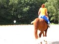 Paardensport op Z@pp zomerspelen