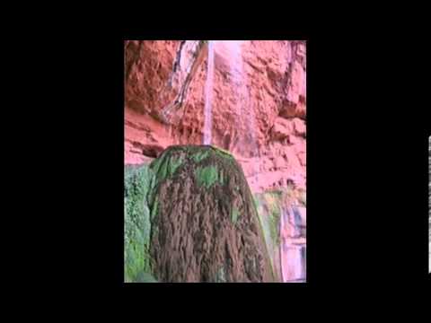 grand national results