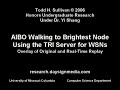 TRI/AIBO Walking Replay Overlay