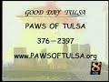gassy-dog.html