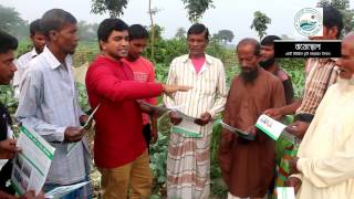 Wheat blast গমের ব্লাস্ট ,...