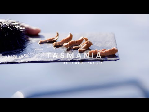 Urchins | Discover Tasmania