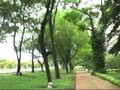 videos de Regresso nostálgico à SQS 208