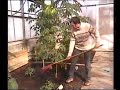 Jardin et loisirs partie 1 (soir2) Jardin et loisirs partie 1 (soir2)