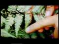 Jardin et loisirs partie 1 (soir2)