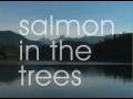 Salmon In The Trees -- Book Trailer : Short Version