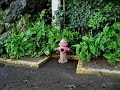 San Francisco  - The Eerie Beauty of Alcatraz Island