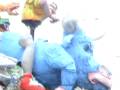 videos de MONTAGGIO TESTONE PECCATO ORIGINALE MAZALORA CARNEVALE CENTO 2009