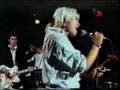TRANSVISION VAMP