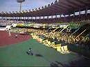 ??????JEF United Chiba fans 29,Apr,2007