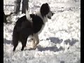 ???????????