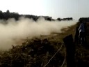 Rally P4 2008