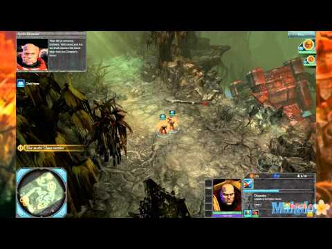 dawn of war dawn of war