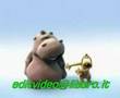 Happy hippo Gianni Celeste Naple Version versione napoletana