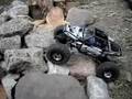 Team Losi Mini-Crawler