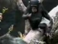 very funny asteia video