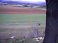 Pastor Vasco video