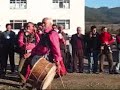 D?RG?NE KÖÇEK SHOW D?RG?NE KÖÇEK SHOW