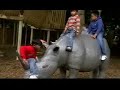 part 5 african adventure,robin hill