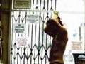 Laundromat scene from Domino - Domino - Edgar Ramirez - Flixster Video