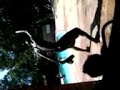 video-2009-06-20-16-35-25.3gp